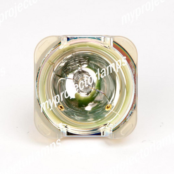 Viewsonic RLC-022 Nakna Projektorlampor