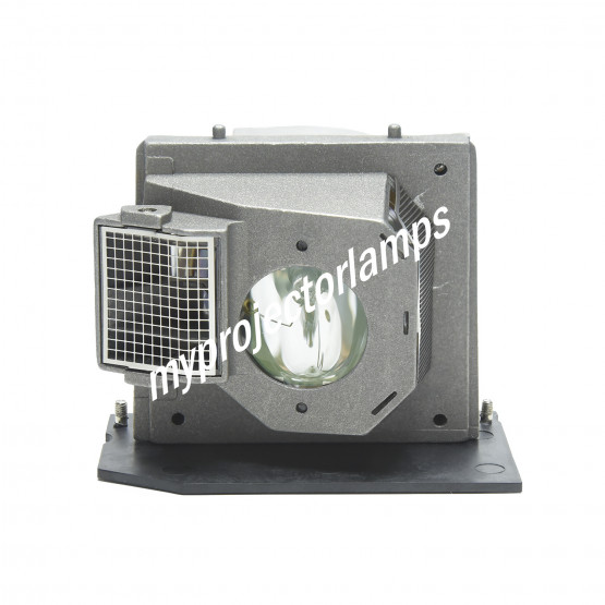 Optoma SP.8BH01GC01 Projector Lamp with Module