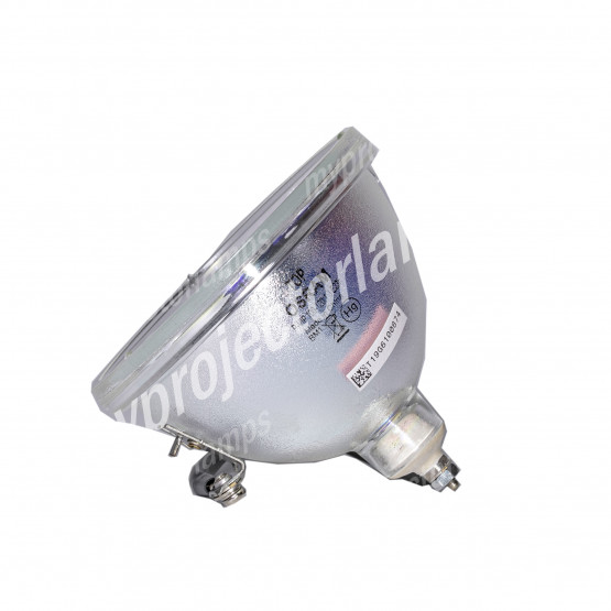 LG RZ44SZ22RD RPTV Projector Lamp with Module