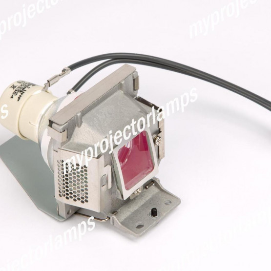 Viewsonic PJD5111 Projector Lamp with Module