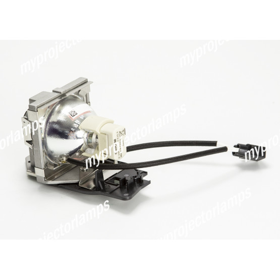 Benq 9E.0C101.011 Projector Lamp with Module