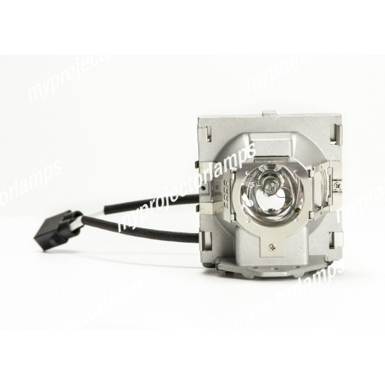 Benq 9E.0C101.011 Projector Lamp with Module