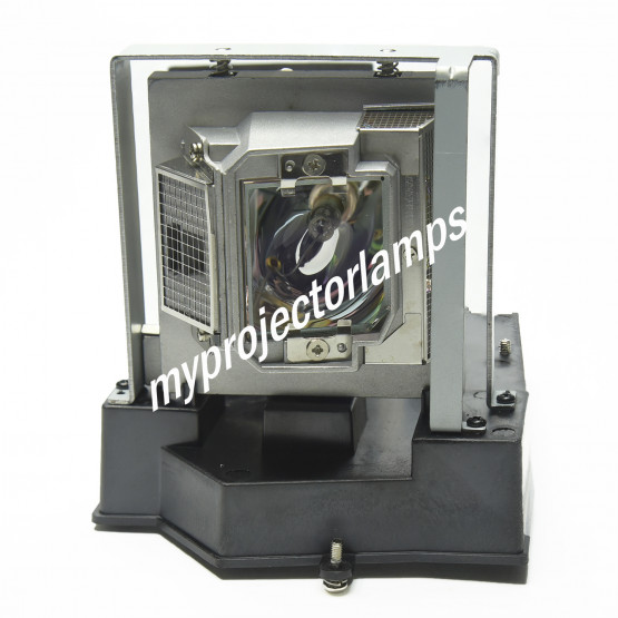 Optoma OPX6025 Projector Lamp with Module
