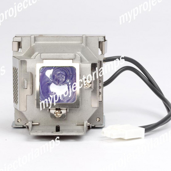 Acer EC.K0600.001 Projector Lamp with Module