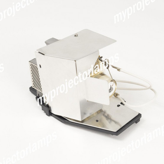 Acer EC.K1300.001 Projector Lamp with Module