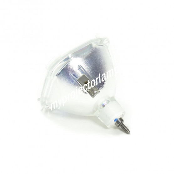 Sim2 D20 Bare Projector Lamp