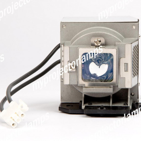 Benq 5J.J3K05.001 Projector Lamp with Module
