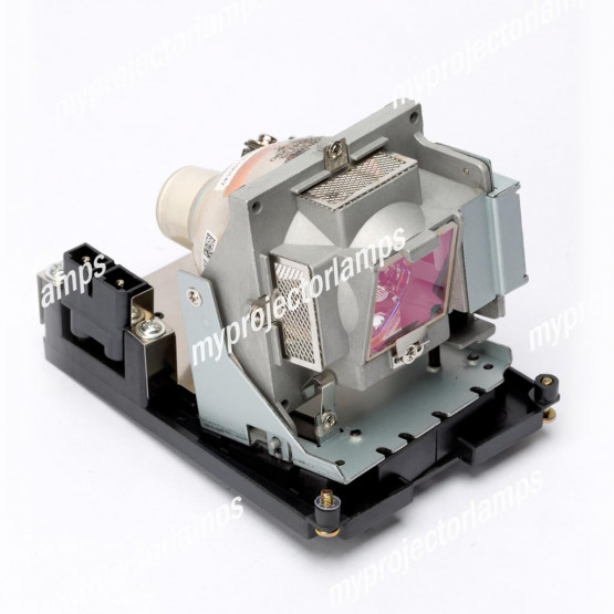 Optoma TH1060P Projector Lamp with Module