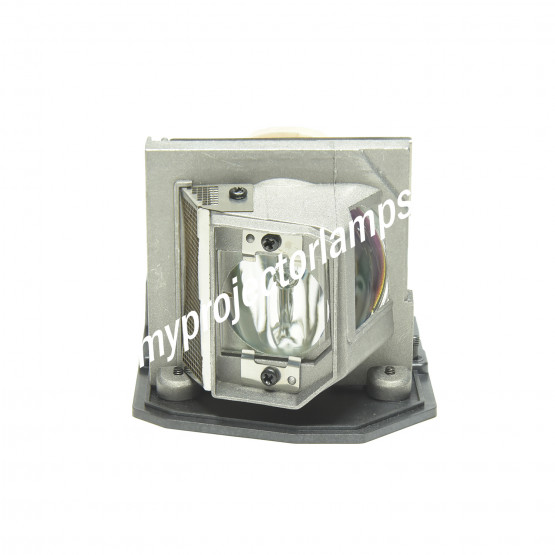 Acer X110 Projector Lamp with Module