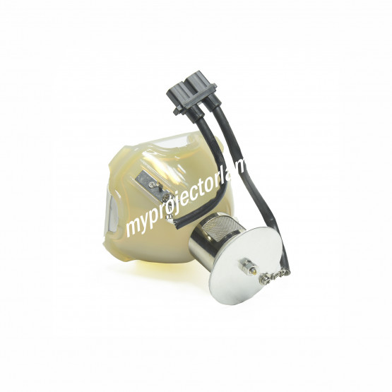 Vidikron RUPA-007400 Lampe de Projecteur Nue