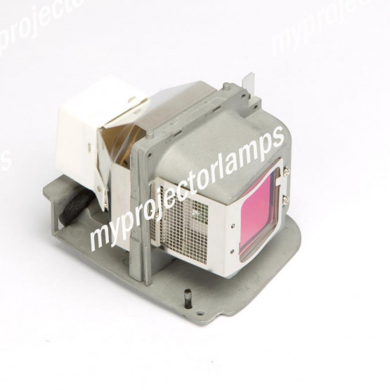 Viewsonic PJ206D Projector Lamp with Module