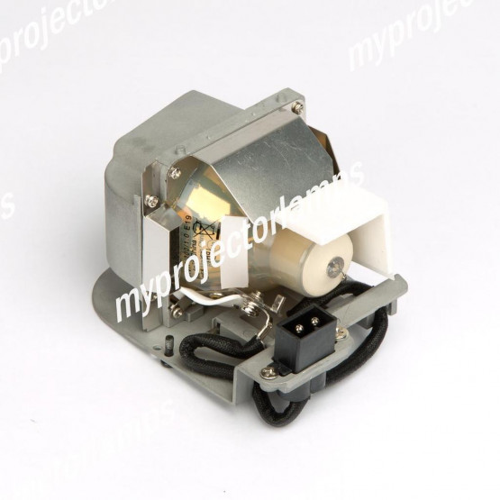 Viewsonic PJ260D Projector Lamp with Module