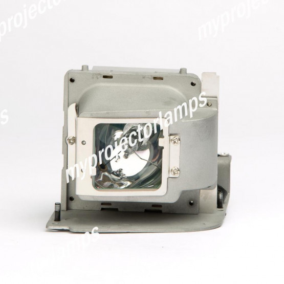 Viewsonic PJ260D Lampe de projecteur avec module