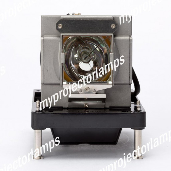 Digital Projection 112-339 Projector Lamp with Module