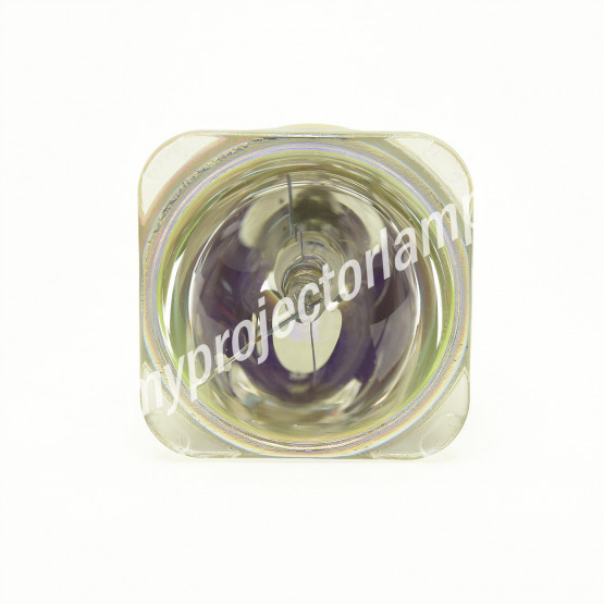 Barco R9801309 Bare Projector Lamp