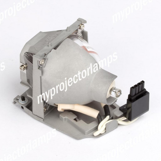 Dell 310-6747 Projector Lamp with Module