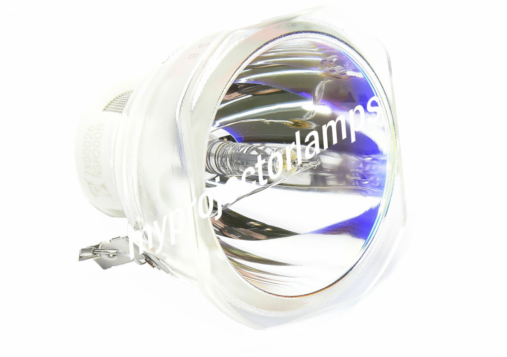 Replacement Lamp with Housing for RUNCO RUPA 005400 with Ushio Bulb Inside