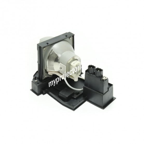 Acer EC.J5400.001 Projector Lamp with Module