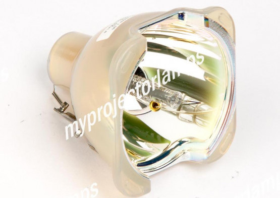 Eiki 080-DH20-0020 Bare Projector Lamp