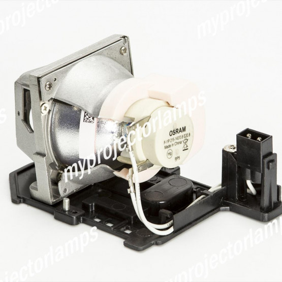 LG BS275 Projector Lamp with Module