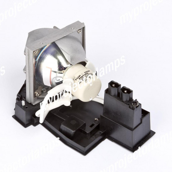 Benq EC.J5500.001 Projector Lamp with Module