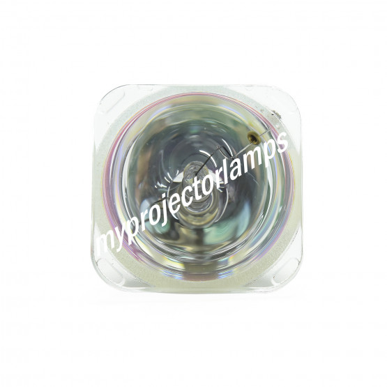 Sim2 Z933792630 Bare Projector Lamp