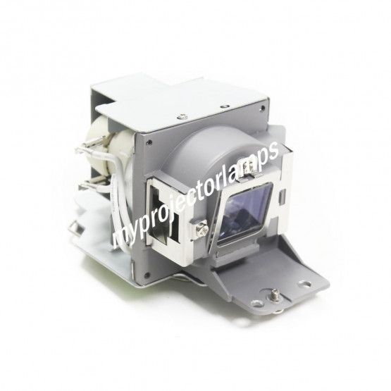Acer MC.JGR11.001 Projector Lamp with Module