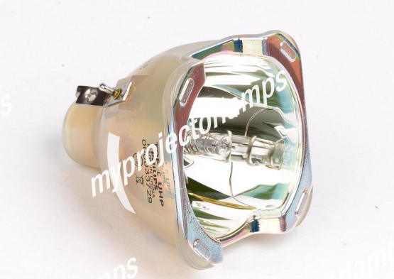 Acer P7290 Bare Projector Lamp
