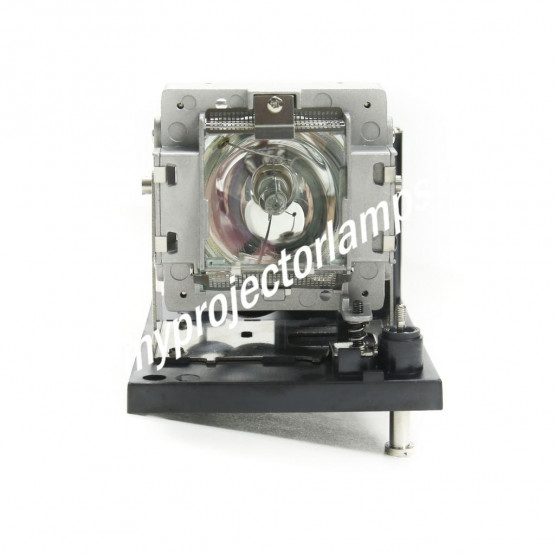 Digital Projection 116-380 Lampe de projecteur avec module