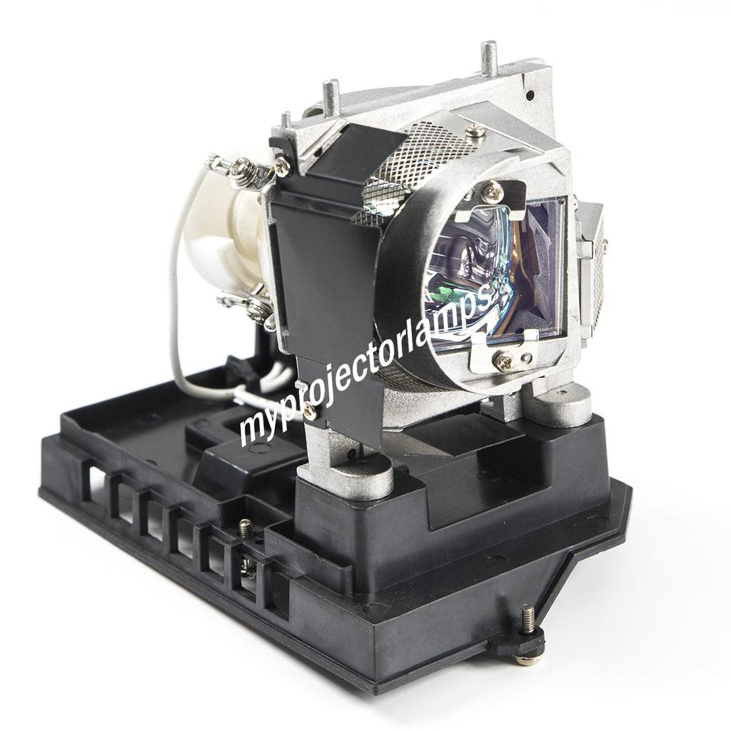 Dell S500wi Projector Lamp with Module 