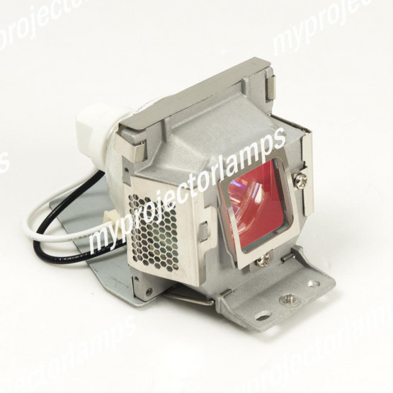 Viewsonic PJD5221 Projector Lamp with Module