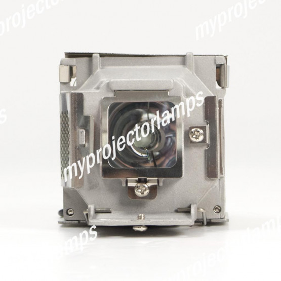 Viewsonic RLC-058 Projector Lamp with Module