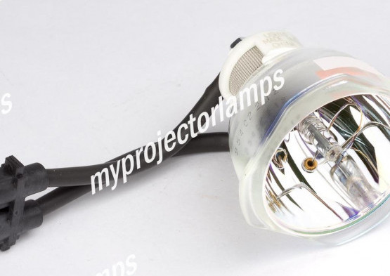 Yamaha DPX-830 Lampe de Projecteur Nue