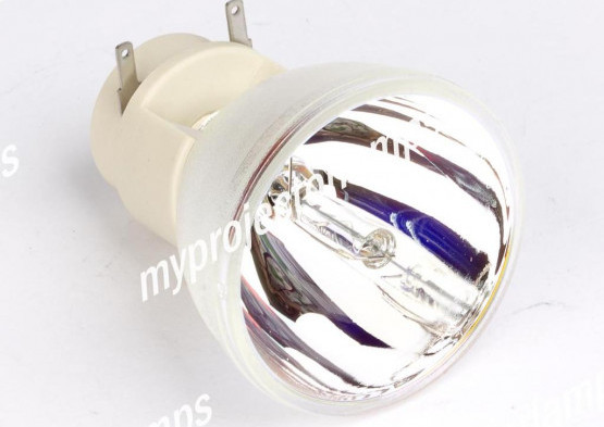 Optoma SP.8LY01GC01 Bare Projector Lamp