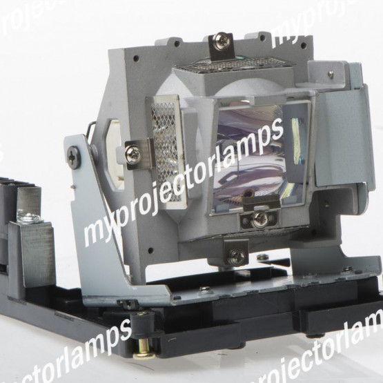 Vivitek 5811100795-S Projector Lamp with Module