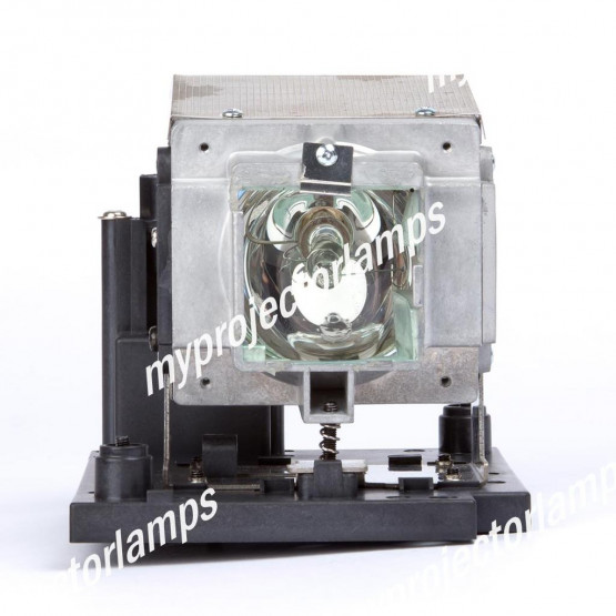Eiki EIP-5000 (RIGHT) Projector Lamp with Module