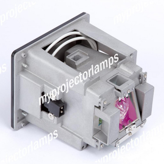 Optoma EW865 Projector Lamp with Module 