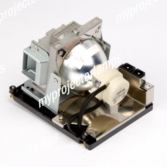 Vivitek 5811116517-S Projector Lamp with Module
