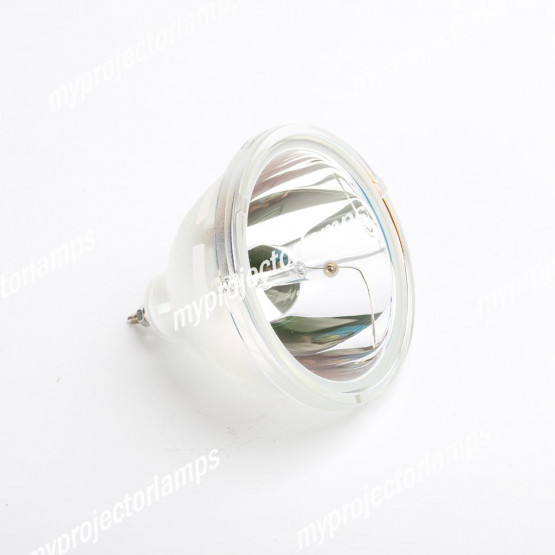 Delta VW7008 Lampe - Projektorbirne