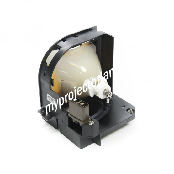 Sony LMP-F250 Projector Lamp with Module