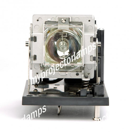 Digital Projection 109-804 Projector Lamp with Module