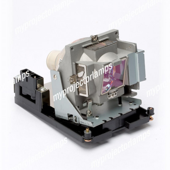 Optoma HDO2200 Projector Lamp with Module