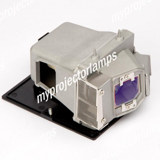 Original Philips Projector Lamp Replacement with Housing for Optoma HD25LV 
