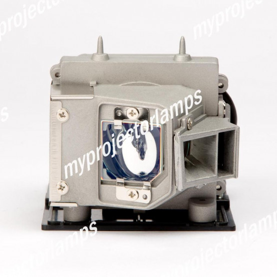 Optoma HT32 Projector Lamp with Module