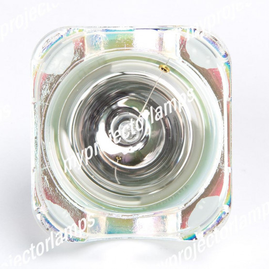 Delta VW5117 Bare Projector Lamp