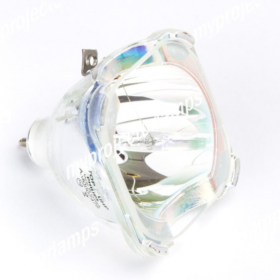 Delta VW5117 Bare Projector Lamp