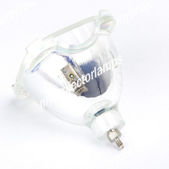 Delta VW5117 Bare Projector Lamp