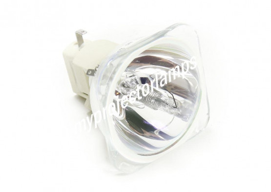 Sim2 Z930100705 Bare Projector Lamp