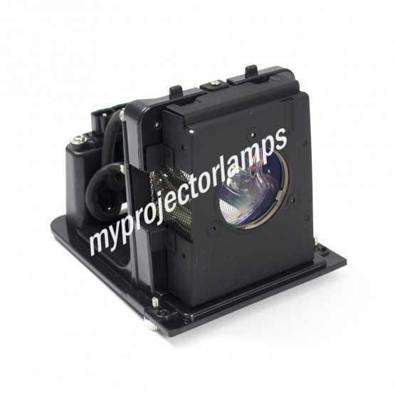 Optoma SP.L1301.001 Projector Lamp with Module