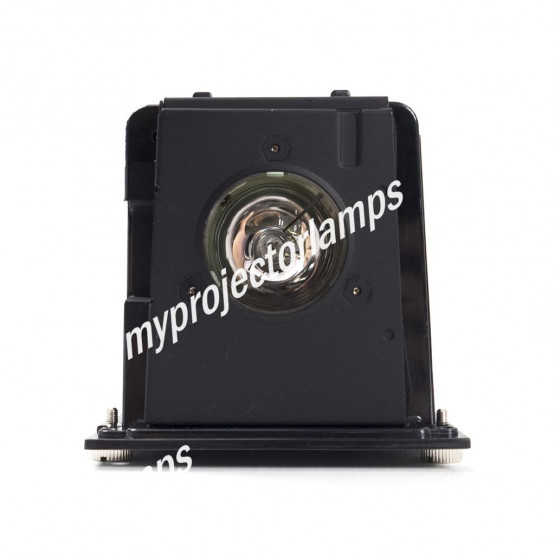 Optoma BL-FU250F Projector Lamp with Module